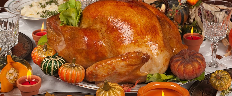 Thanksgiving Turkey